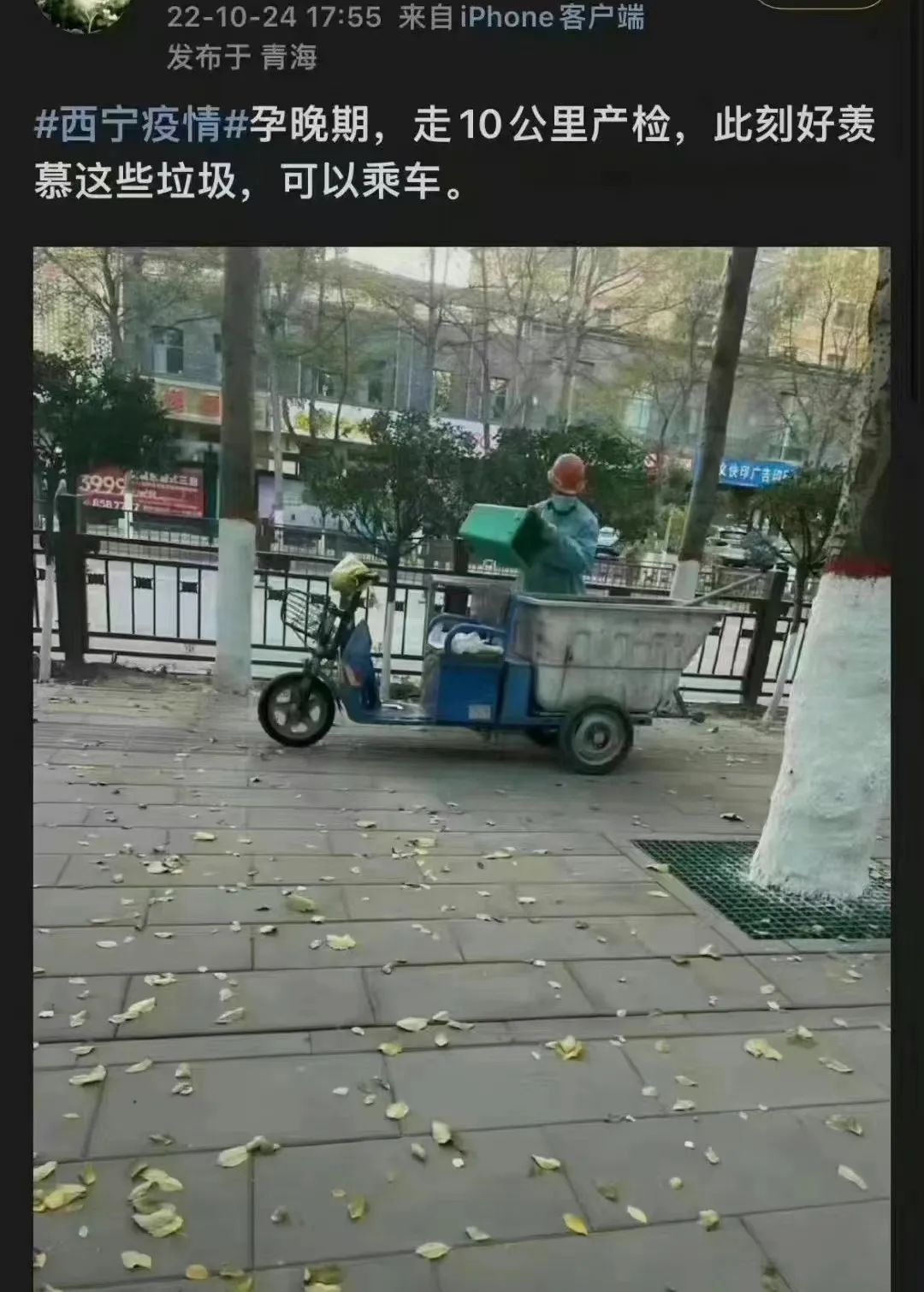 imagev