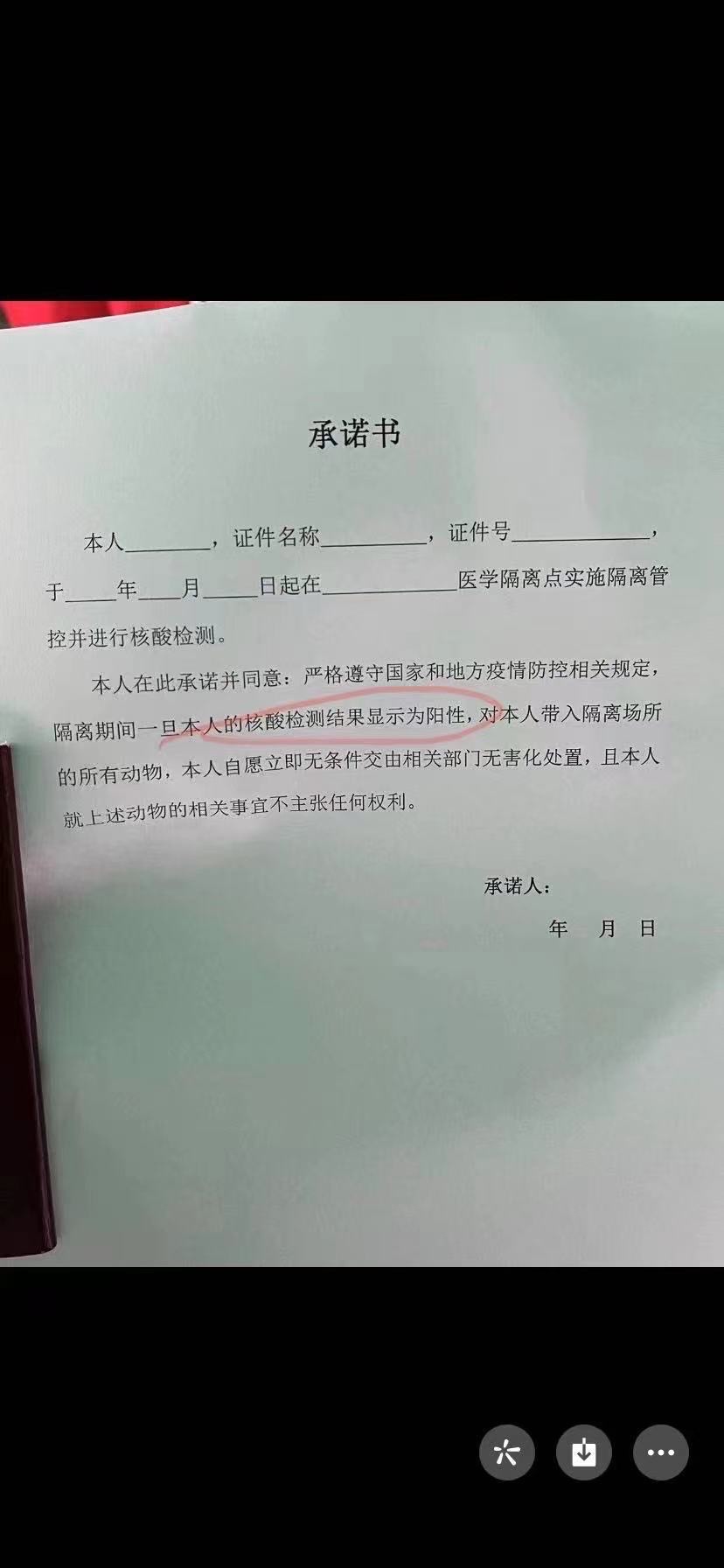 cdtimg