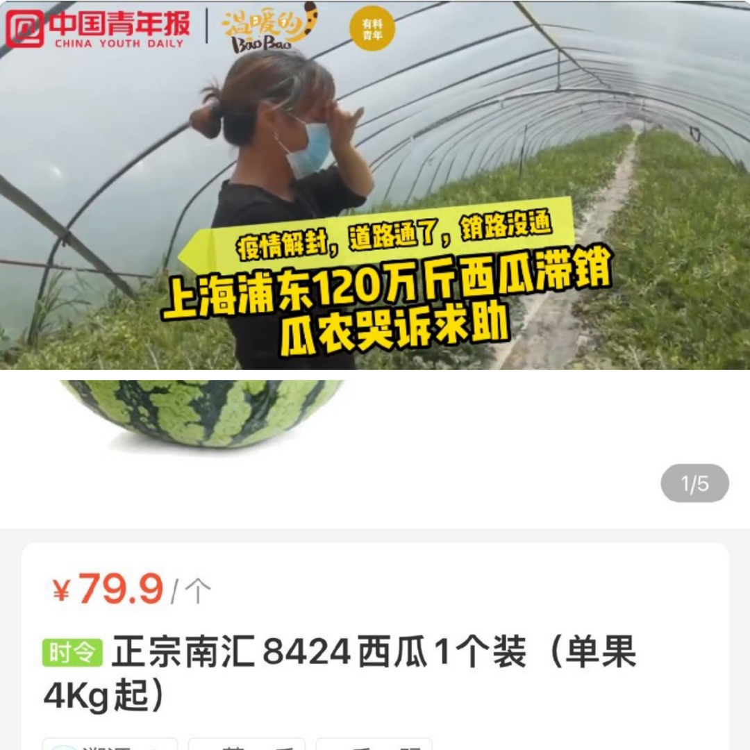 imagev